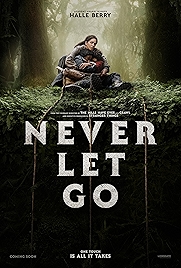 Photo of Never Let Go