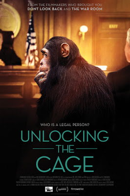 UnlockingtheCage