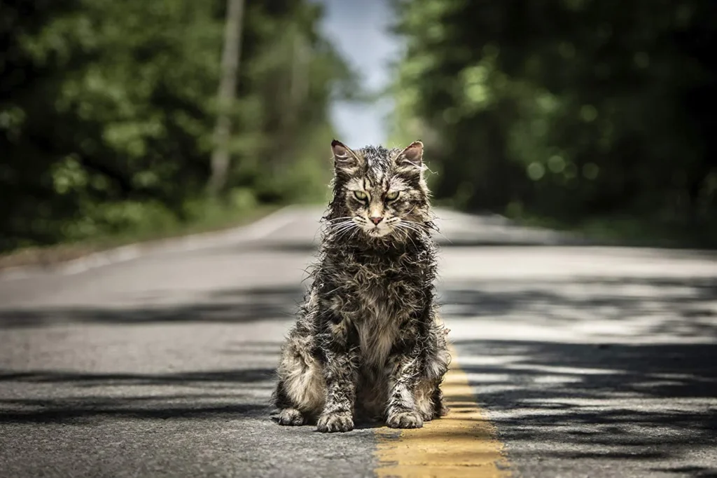 petsematary jpg