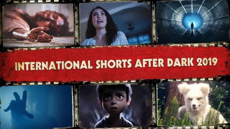 International Shorts After Dark