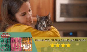 American Cats Hot Docs 2024